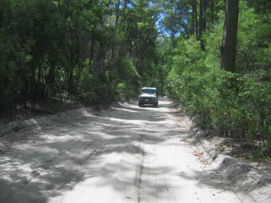 Les chemins de Fraser Island