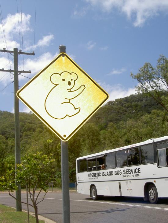 Le panneaux attention "Koalas"
