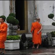 Visite de Wat pho