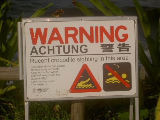 Attention aux crocos