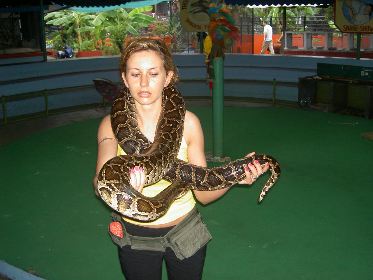 Bangkok, visite du centre des serpents...